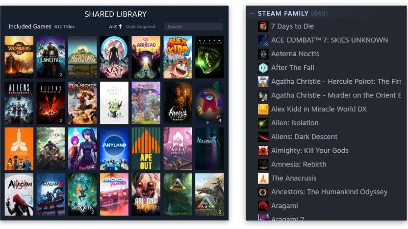 Steam Family Library