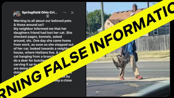 A post on X that started the false claim that Haitian immigrants were eating people's pets in Springfield, Ohio remain on Elon Musk's platform. 